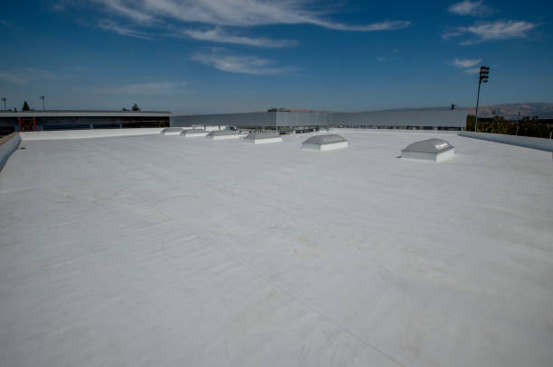 Roof Coating Services in Black Earth, WI